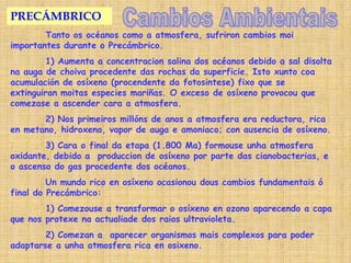 PRECÁMBRICO
        Tanto os océanos como a atmosfera, sufriron cambios moi
importantes durante o Precámbrico.
        1) Aumenta a concentracion salina dos océanos debido a sal disolta
na auga de choiva procedente das rochas da superficie. Isto xunto coa
acumulación de osíxeno (procendente da fotosintese) fixo que se
extinguiran moitas especies mariñas. O exceso de osíxeno provocou que
comezase a ascender cara a atmosfera.
       2) Nos primeiros millóns de anos a atmosfera era reductora, rica
en metano, hidroxeno, vapor de auga e amoniaco; con ausencia de osíxeno.
        3) Cara o final da etapa (1.800 Ma) formouse unha atmosfera
oxidante, debido a produccion de osíxeno por parte das cianobacterias, e
o ascenso do gas procedente dos océanos.
         Un mundo rico en osíxeno ocasionou dous cambios fundamentais ó
final do Precámbrico:
        1) Comezouse a transformar o osíxeno en ozono aparecendo a capa
que nos protexe na actualiade dos raios ultravioleta.
        2) Comezan a aparecer organismos mais complexos para poder
adaptarse a unha atmosfera rica en osixeno.
 