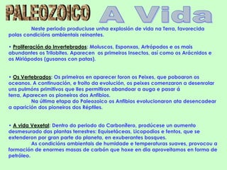 Neste periodo produciuse unha explosión de vida na Terra, favorecida
polas condicións ambientais reinantes.

• Proliferación do Invertebrados: Moluscos, Esponxas, Artrópodos e os mais
abundantes os Trilobites. Aparecen os primeiros Insectos, así como os Arácnidos e
os Miriápodos (gusanos con patas).


• Os Vertebrados: Os primeiros en aparecer foron os Peixes, que poboaron os
oceanos. A continuación, e froito da evolución, os peixes comenzaron a desenrolar
uns pulmóns primitivos que lles permitiron abandoar a auga e pasar á
terra, Aparecen os pioneiros dos Anfibios.
         Na última etapa do Paleozoico os Anfibios evolucionaron ata desencadear
a aparición dos pioneiros dos Réptiles.


• A vida Vexetal: Dentro do periodo do Carbonífero, prodúcese un aumento
desmesurado das plantas terrestres: Equisetáceas, Licopodios e fentos, que se
extenderon por gran parte do planeta, en exuberantes bosques.
          As condicións ambientais de humidade e temperaturas suaves, provocou a
formación de enormes masas de carbón que hoxe en dia aproveitamos en forma de
petróleo.
 