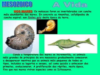 NOS MARES: Os moluscos foron os invertebrados con cuncha
máis abundantes dos mares. En concreto as Amonitas, cefalópodos de
cuncha espiral; son fósiles guía desta época da terra.




         Cando a temperatura dos mares se incrementóu, os animais
máis grandes de principios da era mesozoica gradualmente comezaron
a desaparecer mentres que os animais máis pequenos de todos os
tipos, incluidos os lagartos e serpes, así como quizáis o antecesor dos
primates, evolucionaron. A proliferación dos réptiles, nesta época,
fixo que nos mares viviran especies como os Ictiosauros.
 