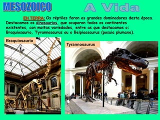 EN TERRA: Os réptiles foron os grandes dominadores desta época.
Destacamos os dinosaurios, que ocuparon todos os continentes
existentes, con moitas variedades, entre as que destacamos o:
Braquiosaurio, Tyrannosaurus ou o Beipiaosaurus (posuia plumaxe).

Braquiosaurio
                             Tyrannosaurus
 