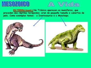 EN TERRA (cont.): No Triásico aparecen os mamíferos, que
proceden dos réptiles terápsidos; eran de pequeño tamaño e cubertos de
pelo. Como exemplos temos: o Ivantosaurus e o Moschops.
 