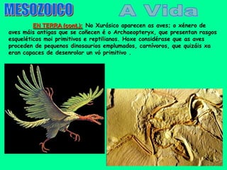 EN TERRA (cont.): No Xurásico aparecen as aves; o xénero de
aves máis antigas que se coñecen é o Archaeopteryx, que presentan rasgos
esqueléticos moi primitivos e reptilianos. Hoxe considérase que as aves
proceden de pequenos dinosaurios emplumados, carnívoros, que quizáis xa
eran capaces de desenrolar un vó primitivo .
 