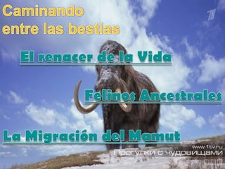 Tema 3 a hist da terra