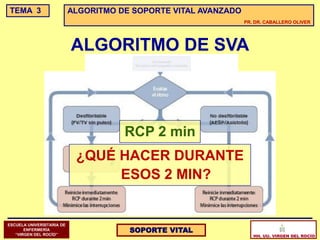 TEMA 3                     ALGORITMO DE SOPORTE VITAL AVANZADO
                                                                 PR. DR. CABALLERO OLIVER




                           ALGORITMO DE SVA



                                      RCP 2 min
                            ¿QUÉ HACER DURANTE
                                 ESOS 2 MIN?


ESCUELA UNIVERSITARIA DE
       ENFERMERÍA
   “VIRGEN DEL ROCÍO”
                                       SOPORTE VITAL
                                                                    HH. UU. VIRGEN DEL ROCÍO
 