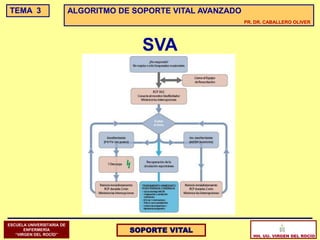 TEMA 3                     ALGORITMO DE SOPORTE VITAL AVANZADO
                                                                 PR. DR. CABALLERO OLIVER




                                          SVA




ESCUELA UNIVERSITARIA DE
       ENFERMERÍA
   “VIRGEN DEL ROCÍO”
                                       SOPORTE VITAL
                                                                    HH. UU. VIRGEN DEL ROCÍO
 