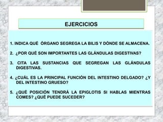 EJERCICIOS
1. INDICA QUÉ ÓRGANO SEGREGA LA BILIS Y DÓNDE SE ALMACENA.
2. ¿POR QUÉ SON IMPORTANTES LAS GLÁNDULAS DIGESTIVAS?
3. CITA LAS SUSTANCIAS QUE SEGREGAN LAS GLÁNDULAS
DIGESTIVAS.
4. ¿CUÁL ES LA PRINCIPAL FUNCIÓN DEL INTESTINO DELGADO? ¿Y
DEL INTESTINO GRUESO?
5. ¿QUÉ POSICIÓN TENDRÁ LA EPIGLOTIS SI HABLAS MIENTRAS
COMES? ¿QUÉ PUEDE SUCEDER?
 