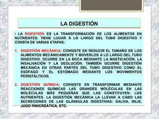 LA DIGESTIÓN
• LA DIGESTIÓN ES LA TRANSFORMACIÓN DE LOS ALIMENTOS EN
NUTRIENTES. TIENE LUGAR A LO LARGO DEL TUBO DIGESTIVO Y
CONSTA DE VARIAS ETAPAS:
1. DIGESTIÓN MECÁNICA: CONSISTE EN REDUCIR EL TAMAÑO DE LOS
ALIMENTOS MECÁNICAMENTE Y MOVERLOS A LO LARGO DEL TUBO
DIGESTIVO. OCURRE EN LA BOCA MEDIANTE LA MASTICACIÓN, LA
INSALIVACIÓN Y LA DEGLUCIÓN. TAMBIÉN OCURRE DIGESTIÓN
MECÁNICA EN OTRAS PARTES DEL TUBO DIGESTIVO COMO EL
ESÓFAGO Y EL ESTÓMAGO MEDIANTE LOS MOVIMIENTOS
PERISTÁLTICOS.
2. DIGESTIÓN QUÍMICA: CONSISTE EN TRANSFORMAR MEDIANTE
REACCIONES QUÍMICAS LAS GRANDES MOLÉCULAS EN LAS
MOLÉCULAS MÁS PEQUEÑAS QUE LAS CONSTITUYEN: LOS
NUTRIENTES. LA DIGESTIÓN MECÁNICA LA LLEVAN A CABO LAS
SECRECIONES DE LAS GLÁNDULAS DIGESTIVAS: SALIVA, BILIS,
JUGO PANCREÁTICA, ETC.
 