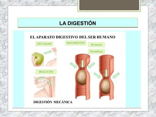 LA DIGESTIÓN
 