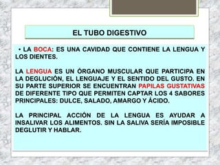 EL TUBO DIGESTIVO
• LA BOCA: ES UNA CAVIDAD QUE CONTIENE LA LENGUA Y
LOS DIENTES.
LA LENGUA ES UN ÓRGANO MUSCULAR QUE PARTICIPA EN
LA DEGLUCIÓN, EL LENGUAJE Y EL SENTIDO DEL GUSTO. EN
SU PARTE SUPERIOR SE ENCUENTRAN PAPILAS GUSTATIVAS
DE DIFERENTE TIPO QUE PERMITEN CAPTAR LOS 4 SABORES
PRINCIPALES: DULCE, SALADO, AMARGO Y ÁCIDO.
LA PRINCIPAL ACCIÓN DE LA LENGUA ES AYUDAR A
INSALIVAR LOS ALIMENTOS. SIN LA SALIVA SERÍA IMPOSIBLE
DEGLUTIR Y HABLAR.
 