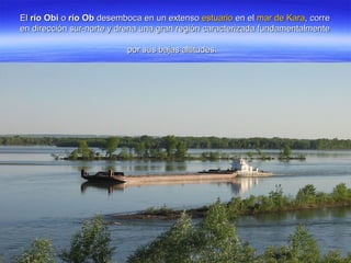 ElEl río Obirío Obi oo río Obrío Ob desemboca en un extensodesemboca en un extenso estuarioestuario en elen el mar de Karamar de Kara, corre, corre
en dirección sur-norte y drena una gran región caracterizada fundamentalmenteen dirección sur-norte y drena una gran región caracterizada fundamentalmente
por sus bajas altitudes.por sus bajas altitudes.
 