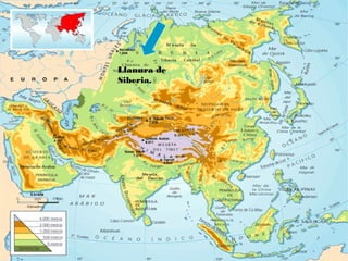 Llanura de
Siberia.
 