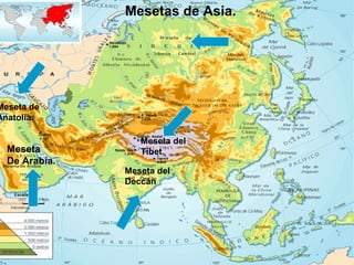 Mesetas de Asia.
Meseta del
Deccán
Meseta del
Tíbet.Meseta
De Arabía.
Meseta de
Anatolia.
 