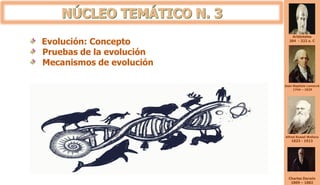 Aristoteles
384 - 322 a. C
Jean-Baptiste Lamarck
1744 – 1829
Alfred Russel Wallace
1823 - 1913
Charles Darwin
1809 – 1882
Evolución: Concepto
Pruebas de la evolución
Mecanismos de evolución
 
