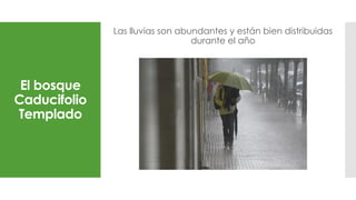 El bosque
Caducifolio
Templado
Las lluvias son abundantes y están bien distribuidas
durante el año
 