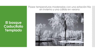 El bosque
Caducifolio
Templado
Posee temperaturas moderadas con una estación fría
en invierno y una cálida en verano
 