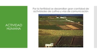 ACTIVIDAD
HUMANA
Por la fertilidad se desarrollan gran cantidad de
actividades de cultivo y vías de comunicación
 