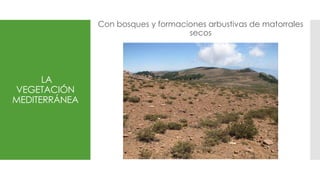 LA
VEGETACIÓN
MEDITERRÁNEA
Con bosques y formaciones arbustivas de matorrales
secos
 