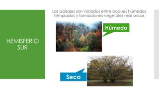 HEMISFERIO
SUR
Los paisajes son variados entre boques húmedos
templados y formaciones vegetales más secas
Seco
Húmedo
 