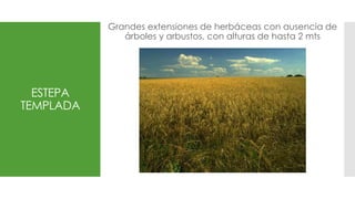 ESTEPA
TEMPLADA
Grandes extensiones de herbáceas con ausencia de
árboles y arbustos, con alturas de hasta 2 mts
 