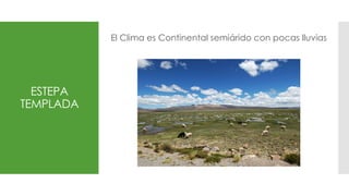 ESTEPA
TEMPLADA
El Clima es Continental semiárido con pocas lluvias
 