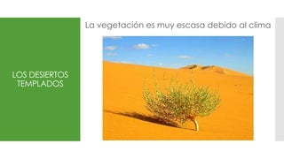 LOS DESIERTOS
TEMPLADOS
La vegetación es muy escasa debido al clima
 