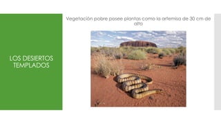 LOS DESIERTOS
TEMPLADOS
Vegetación pobre posee plantas como la artemisa de 30 cm de
alto
 
