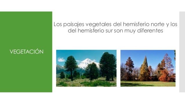 Tema 3 Biosistemas De Latitudes Medias