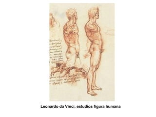 Leonardo da Vinci, estudios figura humana
 