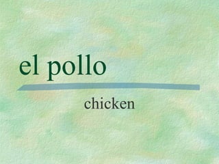 el pollo chicken 