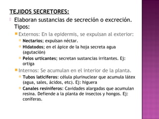 TEJIDOS SECRETORES:
 Elaboran sustancias de secreción o excreción.
  Tipos:
  Externos:    En la epidermis, se expulsan al exterior:
      Nectarios; expulsan néctar.
      Hidatodos; en el ápice de la hoja secreta agua
       (agutación)
      Pelos urticantes; secretan sustancias irritantes. Ej:
       ortiga
  Internos:    Se acumulan en el interior de la planta.
      Tubos laticíferos: célula plurinuclear que acumula látex
       (agua, sales, ácidos, etc). Ej: higuera
      Canales resiníferos: Cavidades alargadas que acumulan
       resina. Defiende a la planta de insectos y hongos. Ej:
       coníferas.
 