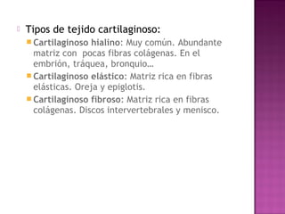    Tipos de tejido cartilaginoso:
     Cartilaginoso hialino: Muy común. Abundante
      matriz con pocas fibras colágenas. En el
      embrión, tráquea, bronquio…
     Cartilaginoso elástico: Matriz rica en fibras
      elásticas. Oreja y epiglotis.
     Cartilaginoso fibroso: Matriz rica en fibras
      colágenas. Discos intervertebrales y menisco.
 