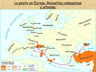 La peste en Europa. Revueltas campesinas
               y urbanas.
 