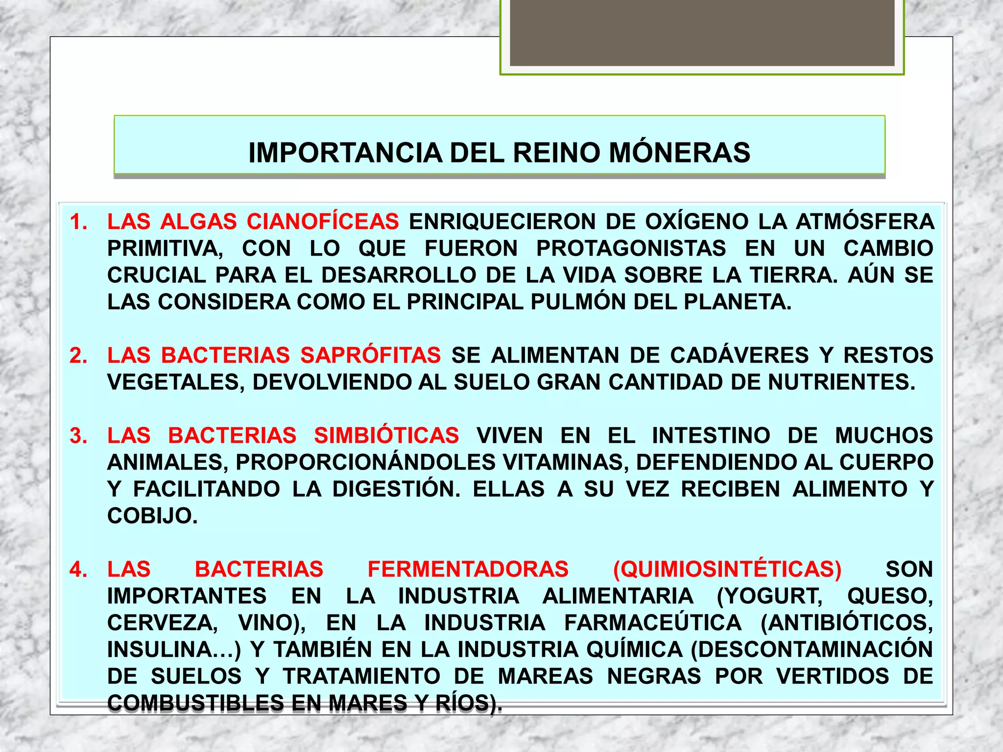 Tema 3 cinco reinos | PPTX