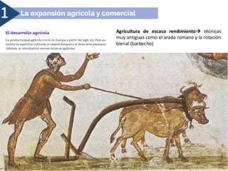 1
Agricultura de escaso rendimiento→ técnicas
muy antiguas como el arado romano y la rotación
bienal (barbecho)
 