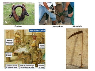 Collera Herradura Guadaña
 