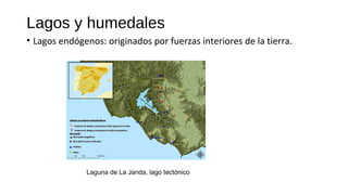 Lagos y humedales
• Lagos endógenos: originados por fuerzas interiores de la tierra.
Laguna de La Janda, lago tectónico
 