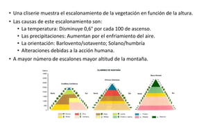 • Una cliserie muestra el escalonamiento de la vegetación en función de la altura.
• Las causas de este escalonamiento son:
• La temperatura: Disminuye 0,6° por cada 100 de ascenso.
• Las precipitaciones: Aumentan por el enfriamiento del aire.
• La orientación: Barlovento/sotavento; Solano/humbría
• Alteraciones debidas a la acción humana.
• A mayor número de escalones mayor altitud de la montaña.
 