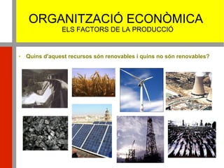 ORGANITZACIÓ ECONÒMICA
ELS FACTORS DE LA PRODUCCIÓ
 Quins d'aquest recursos són renovables i quins no són renovables?
 