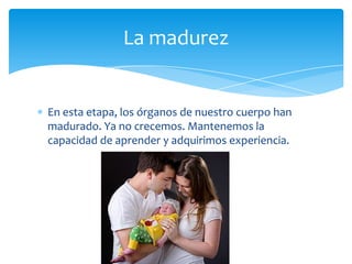 La madurez

En esta etapa, los órganos de nuestro cuerpo han
madurado. Ya no crecemos. Mantenemos la
capacidad de aprender y adquirimos experiencia.

 