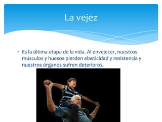 La vejez

Es la última etapa de la vida. Al envejecer, nuestros
músculos y huesos pierden elasticidad y resistencia y
nuestros órganos sufren deterioros.

 
