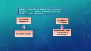 ES EL PROCESO MADURATIVO DEL NIÑO EN SU DESARROLLO 
ONTOGÉNICO Y FILOGENICO DONDE PRIMERO MADURA EL 
TRONCO Y LUEGO LOS MIEMBROS. 
DESARROLLO 
ONTOGÉNICO 
Desarrollo boca abajo 
DESARROLLO 
FILOGÉNICO 
Desarrollo boca arriba 
hasta llegar a la 
posición de pie 
