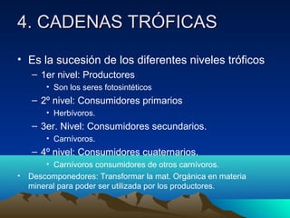 4. CADENAS TRÓFICAS4. CADENAS TRÓFICAS
• Es la sucesión de los diferentes niveles tróficos
– 1er nivel: Productores
• Son los seres fotosintéticos
– 2º nivel: Consumidores primarios
• Herbívoros.
– 3er. Nivel: Consumidores secundarios.
• Carnívoros.
– 4º nivel: Consumidores cuaternarios.
• Carnívoros consumidores de otros carnívoros.
• Descomponedores: Transformar la mat. Orgánica en materia
mineral para poder ser utilizada por los productores.
 