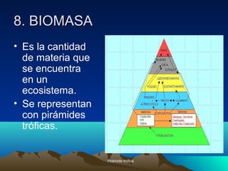 8. BIOMASA8. BIOMASA
• Es la cantidad
de materia que
se encuentra
en un
ecosistema.
• Se representan
con pirámides
tróficas.
Pirámide trófica
 