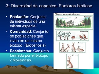 3. Diversidad de especies. Factores bióticos3. Diversidad de especies. Factores bióticos
• Población: Conjunto
de individuos de una
misma especie.
• Comunidad: Conjunto
de poblaciones que
viven en un mismo
biotopo. (Biocenosis)
• Ecosistema: Conjunto
formado por el biotopo
y biocenosis.
 