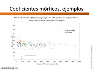 Coeficientes mórficos, ejemplos http://hmbEndeavour.blogspot.com 