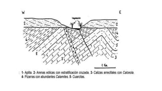 Tema 3 - Deformaciones corticales