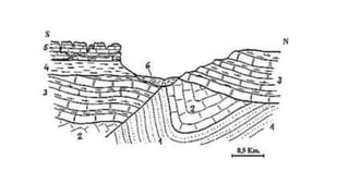 Tema 3 - Deformaciones corticales