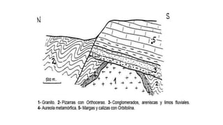 Tema 3 - Deformaciones corticales