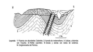 Tema 3 - Deformaciones corticales