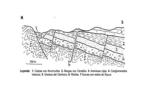 Tema 3 - Deformaciones corticales